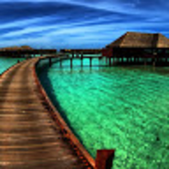 Meet your Posher, Lina - Picture 1 of 1